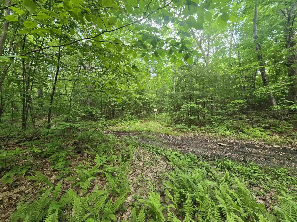 Picture 26