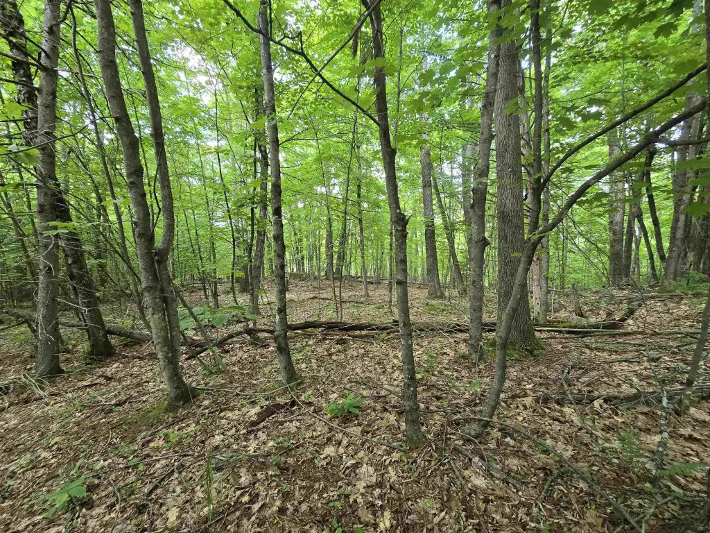 Picture 32