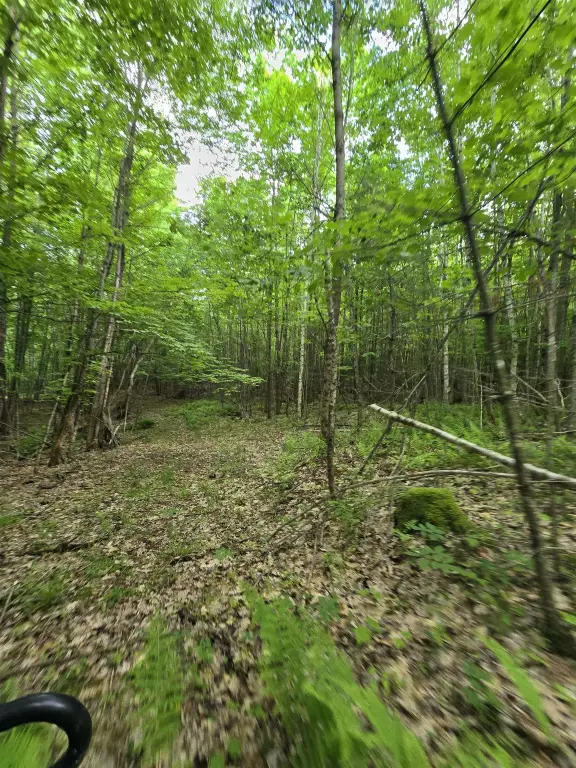 Picture 23