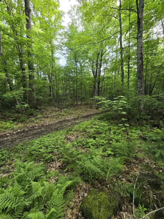 Picture 25