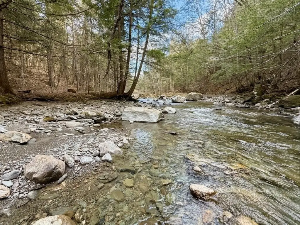 Picture 9