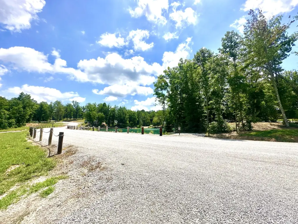 Picture 20