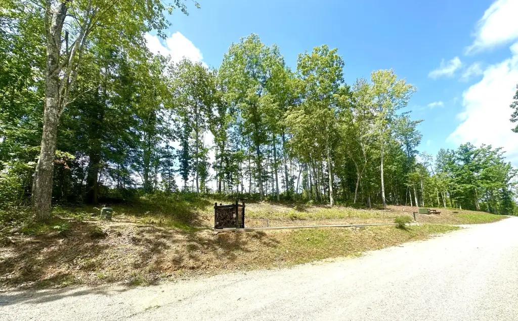 Picture 5