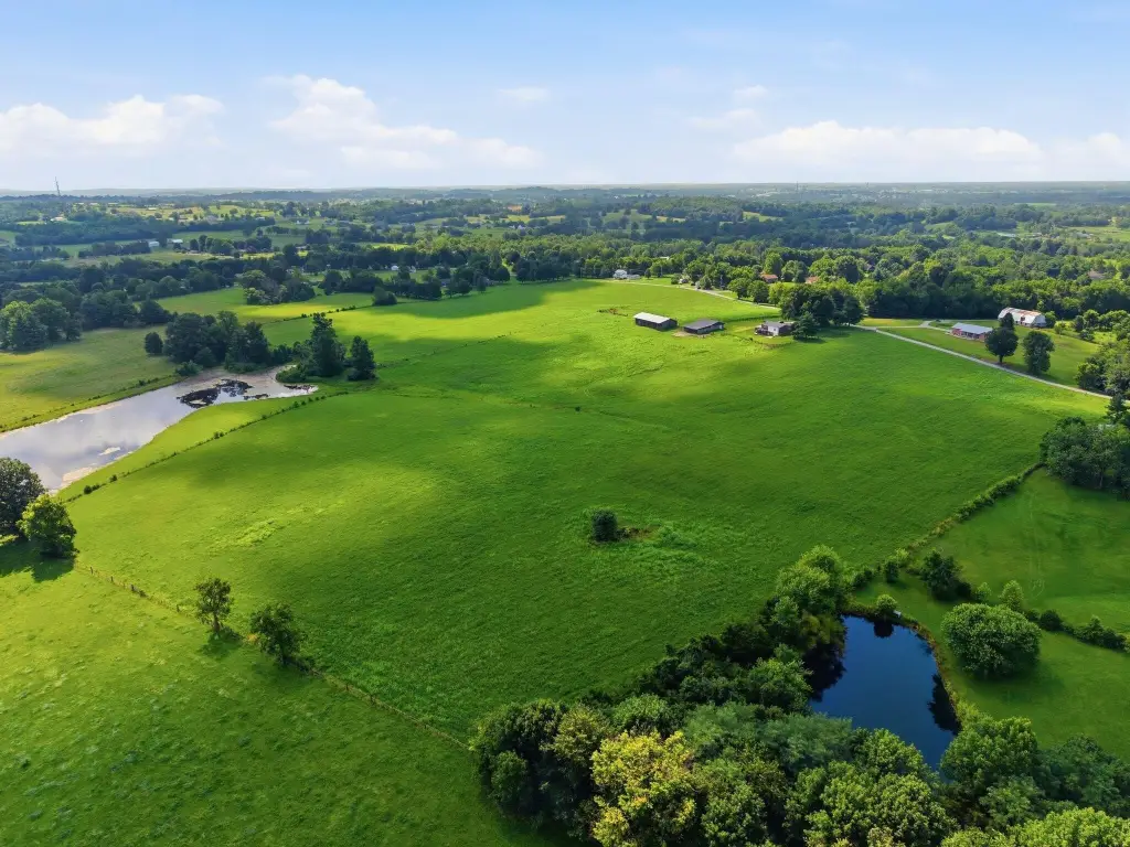 Picture 17