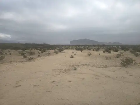 5 Acre Vacant Land Tract