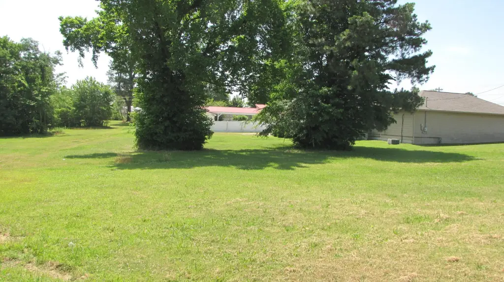 Picture 7