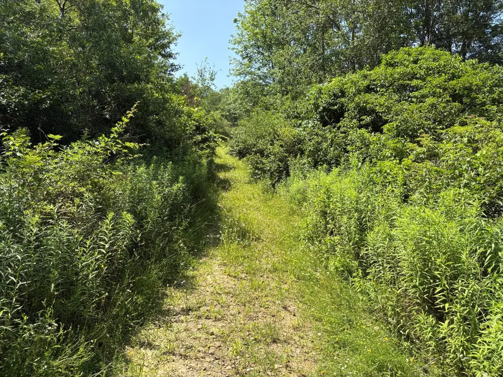 Picture 21