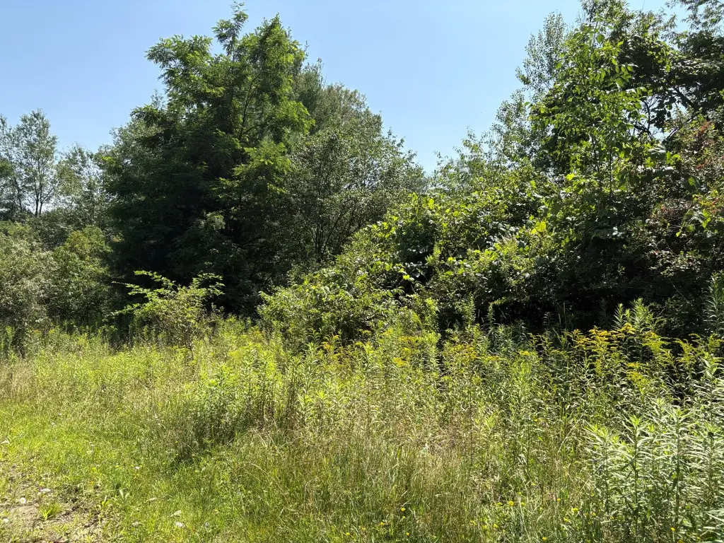 Picture 29