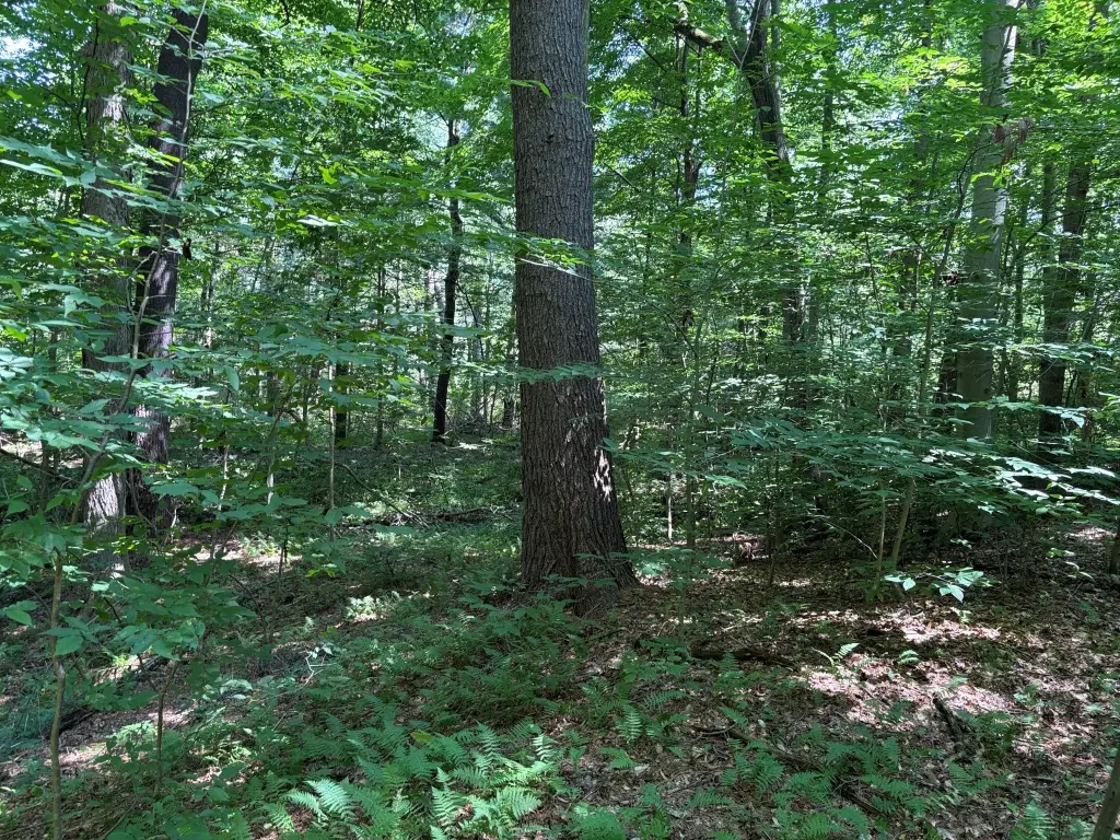 Picture 13