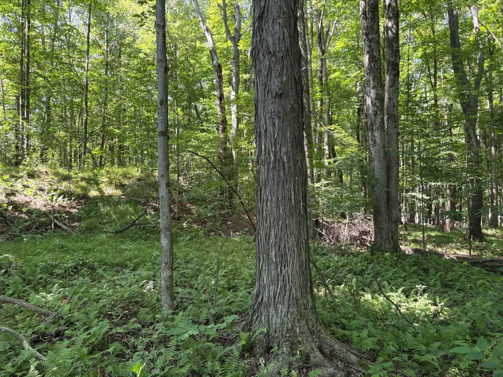 Picture 6