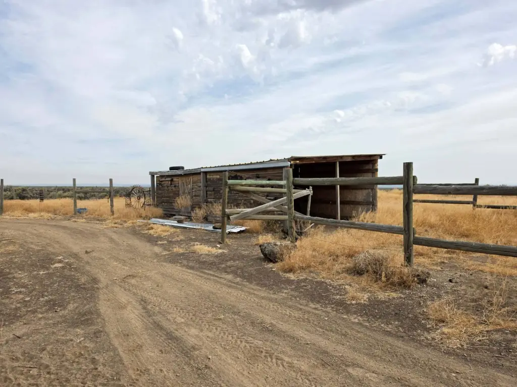 Picture 28