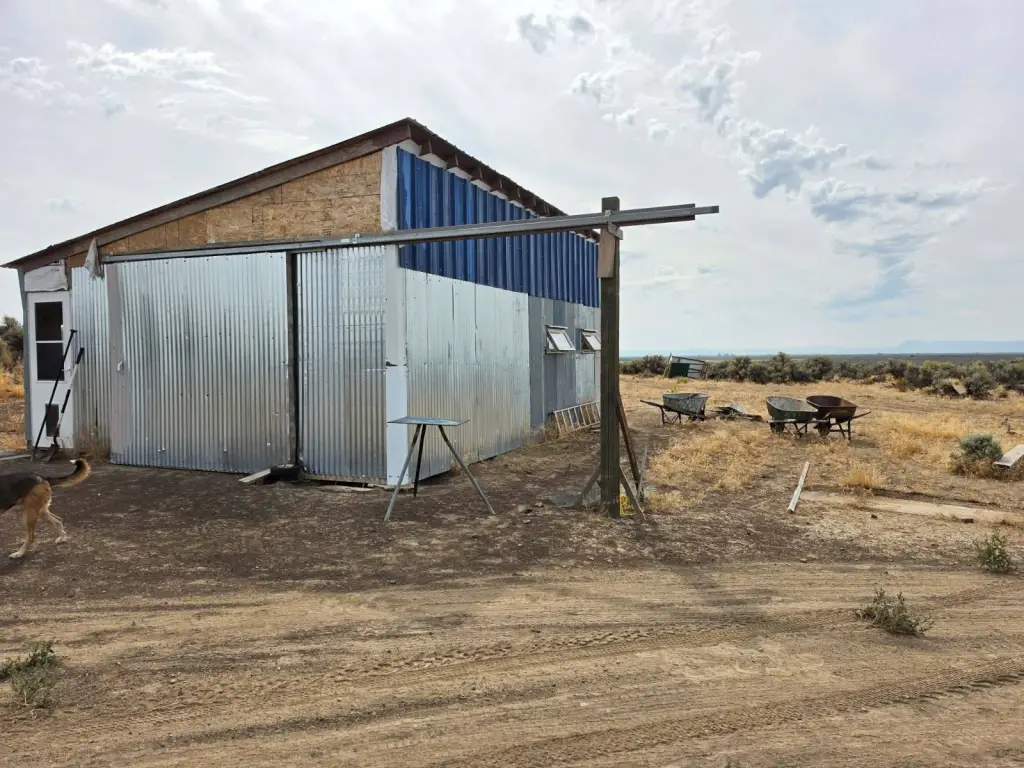 Picture 25