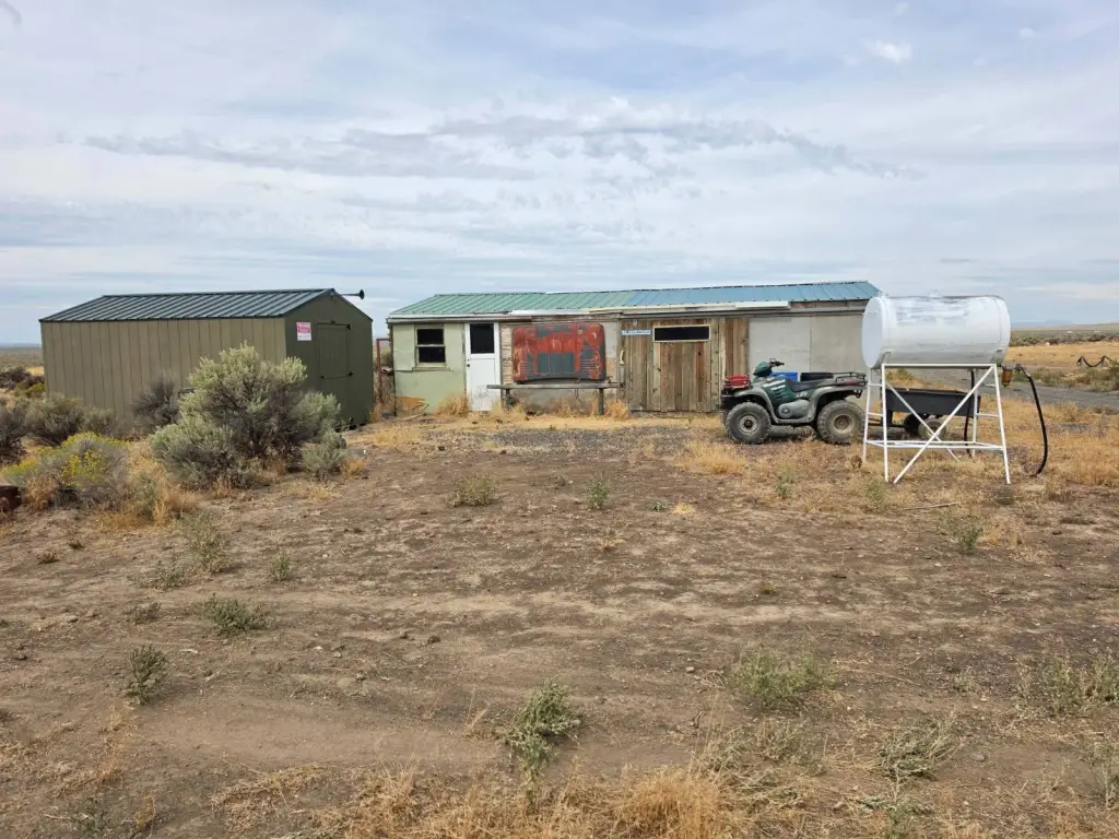 Picture 21