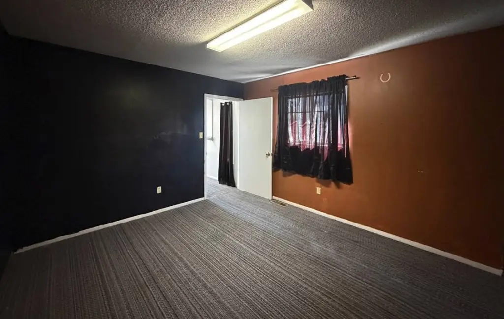 Picture 4