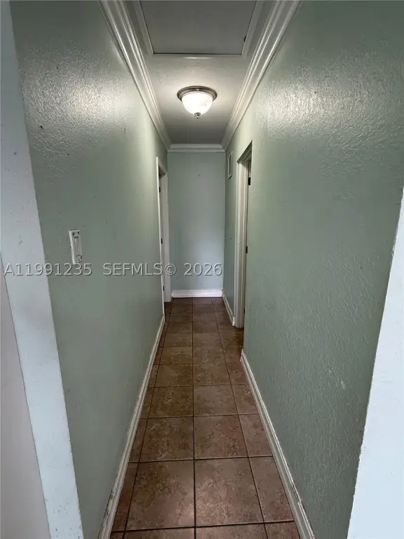 Picture 29