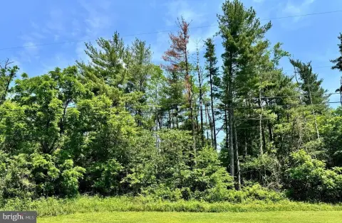 Land with Babbling Brook