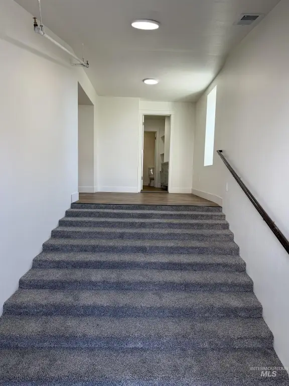 Picture 31