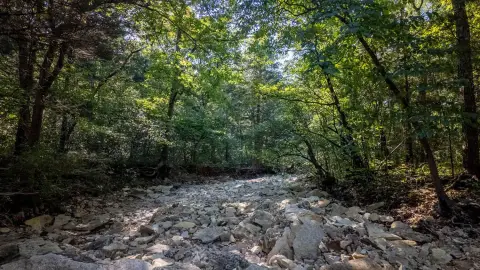 Wooded Acreage Near Lake Norfork