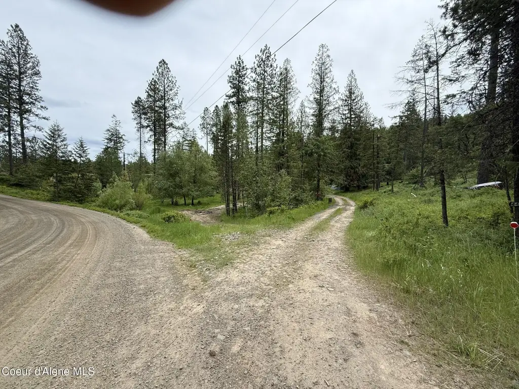 Picture 2