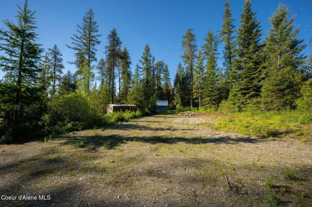 Picture 25
