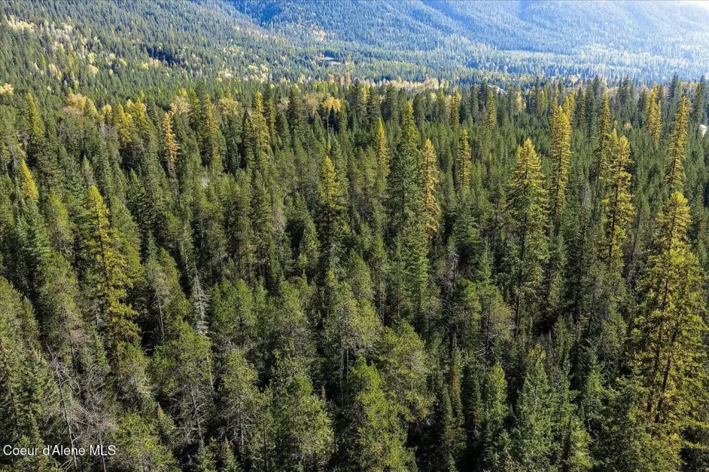Picture 26