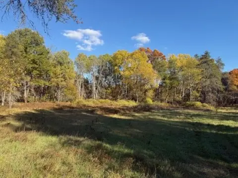 Wooded Hunting Land