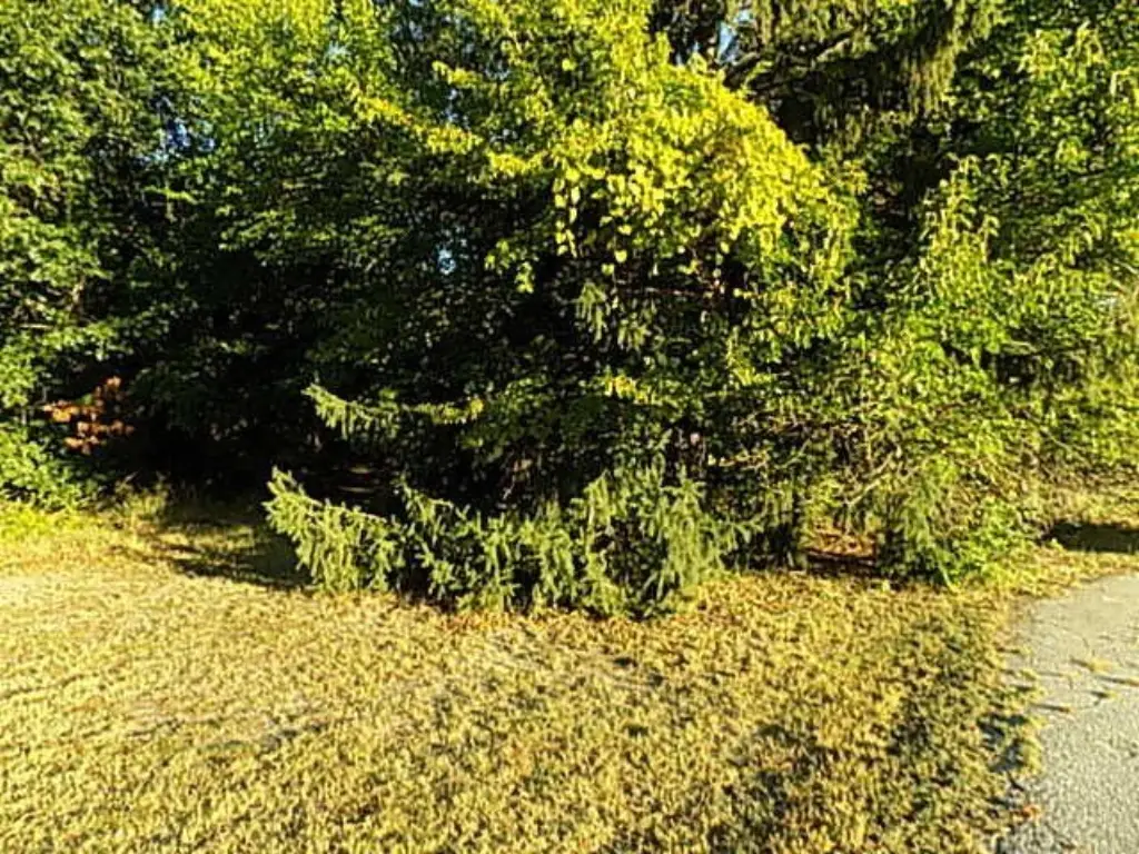 Picture 4