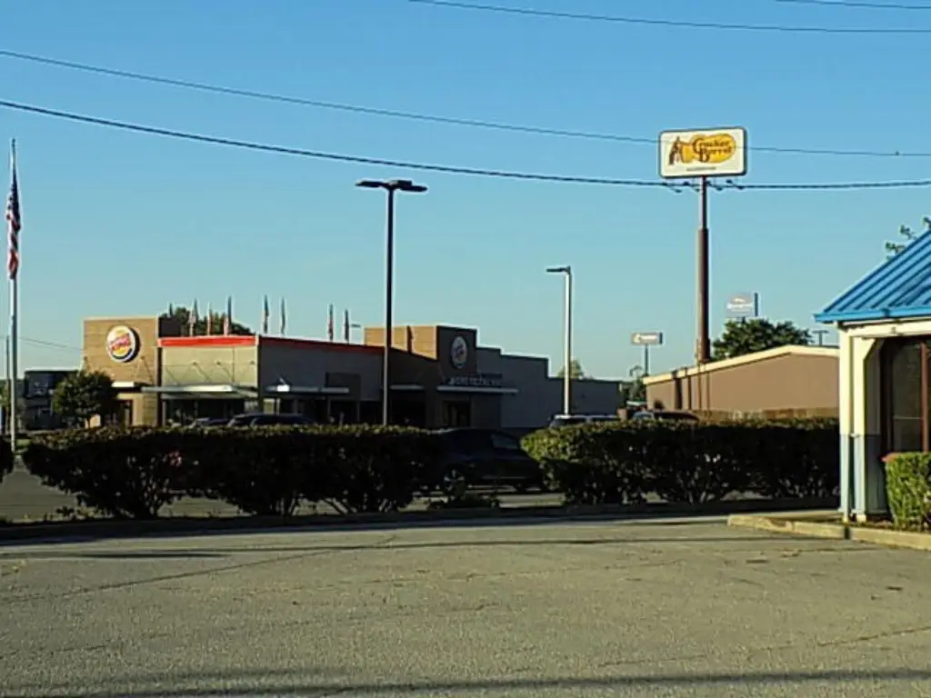 Picture 11