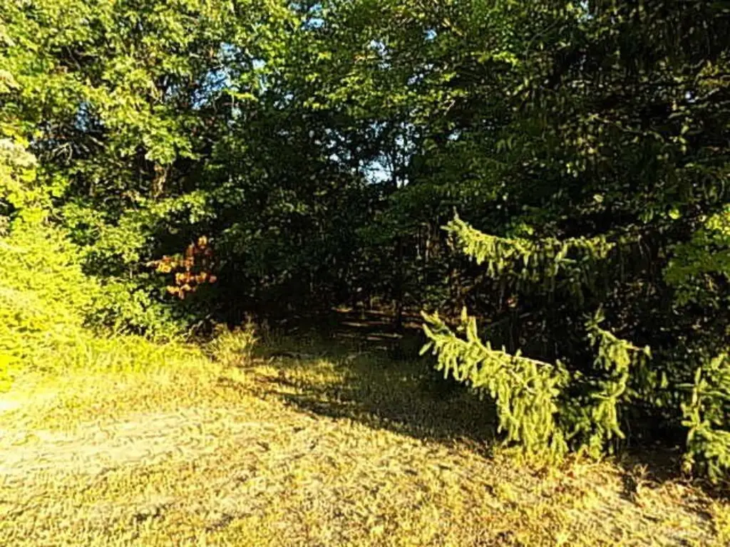 Picture 8