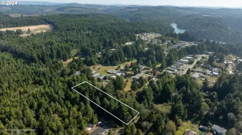 Timbered Land in Coos County