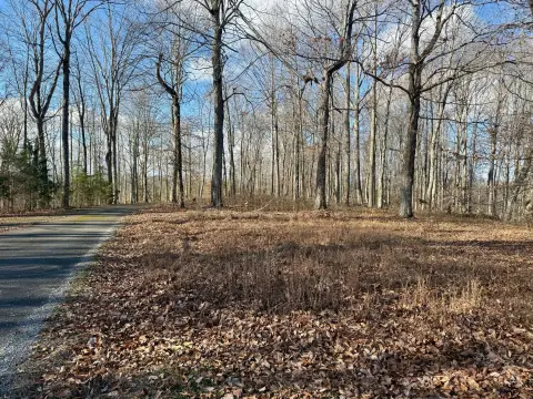 Wooded Lot in Gated Subdivision