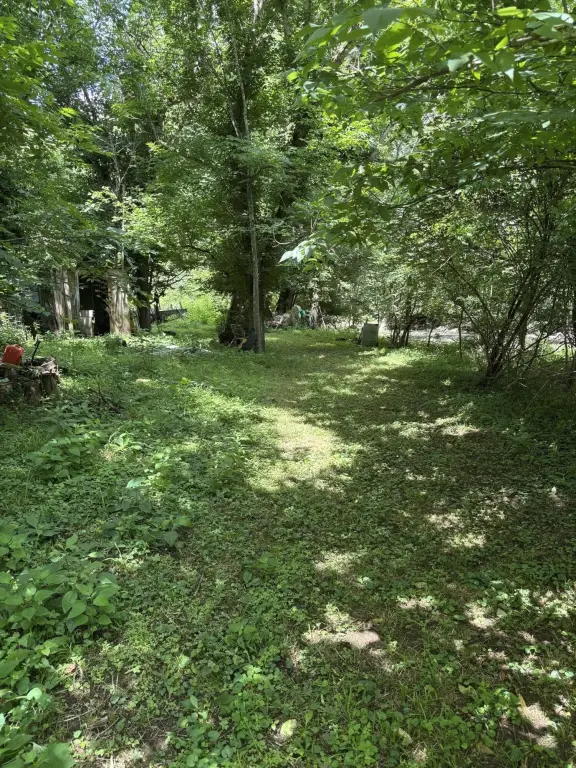 Picture 7