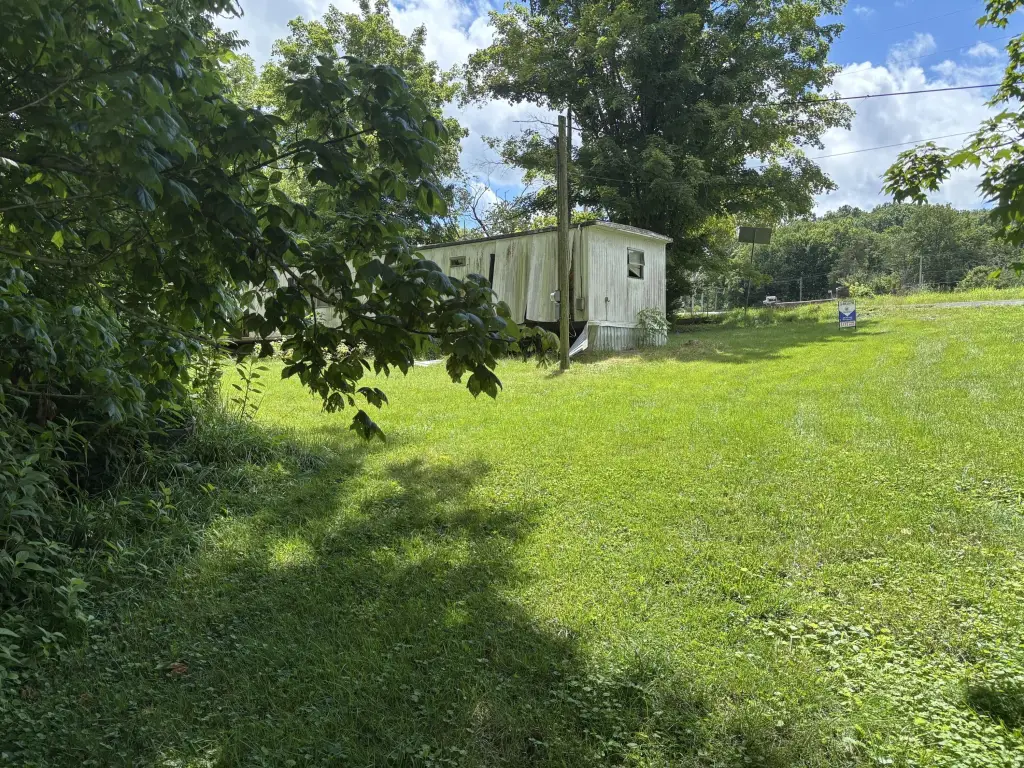 Picture 10