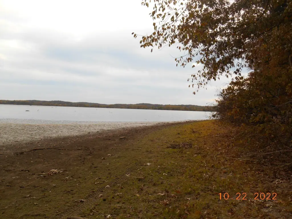 Picture 8