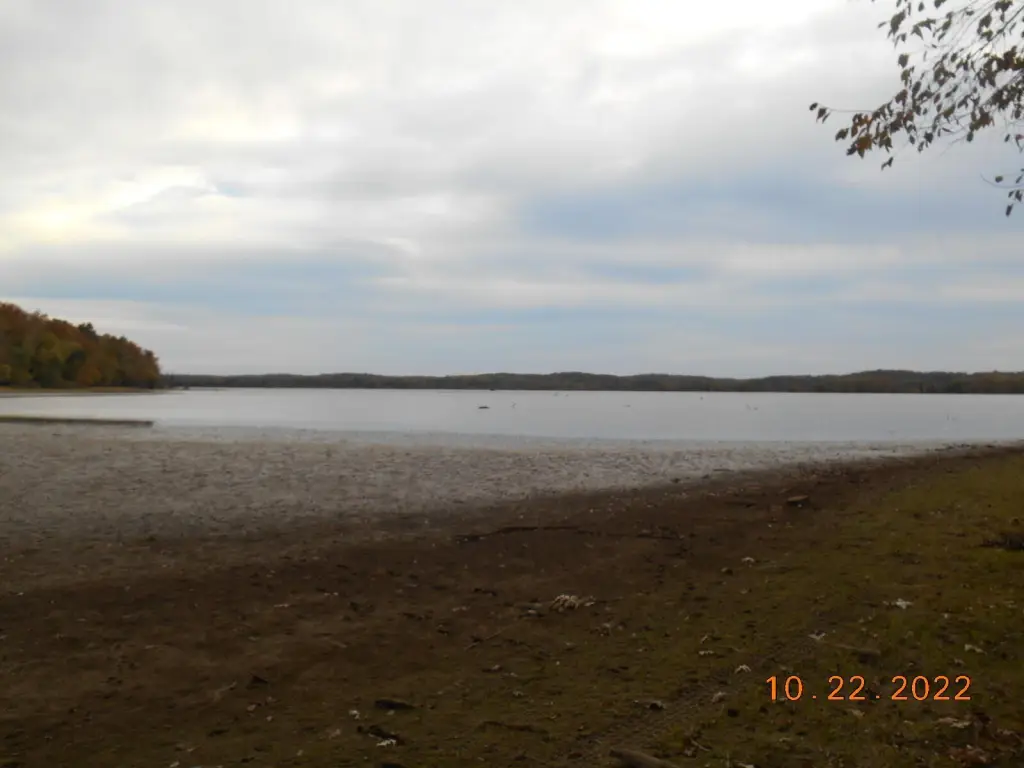 Picture 6