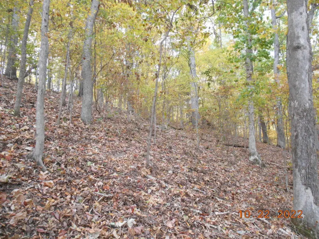 Picture 13