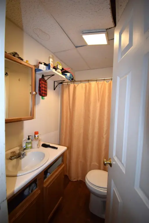 Picture 8