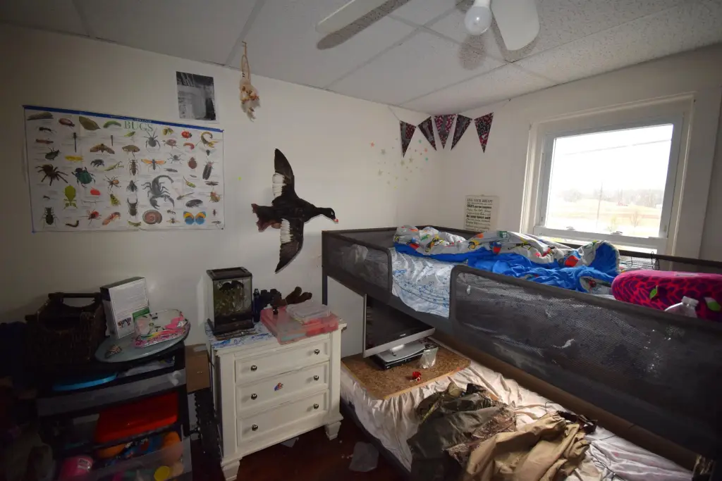 Picture 11