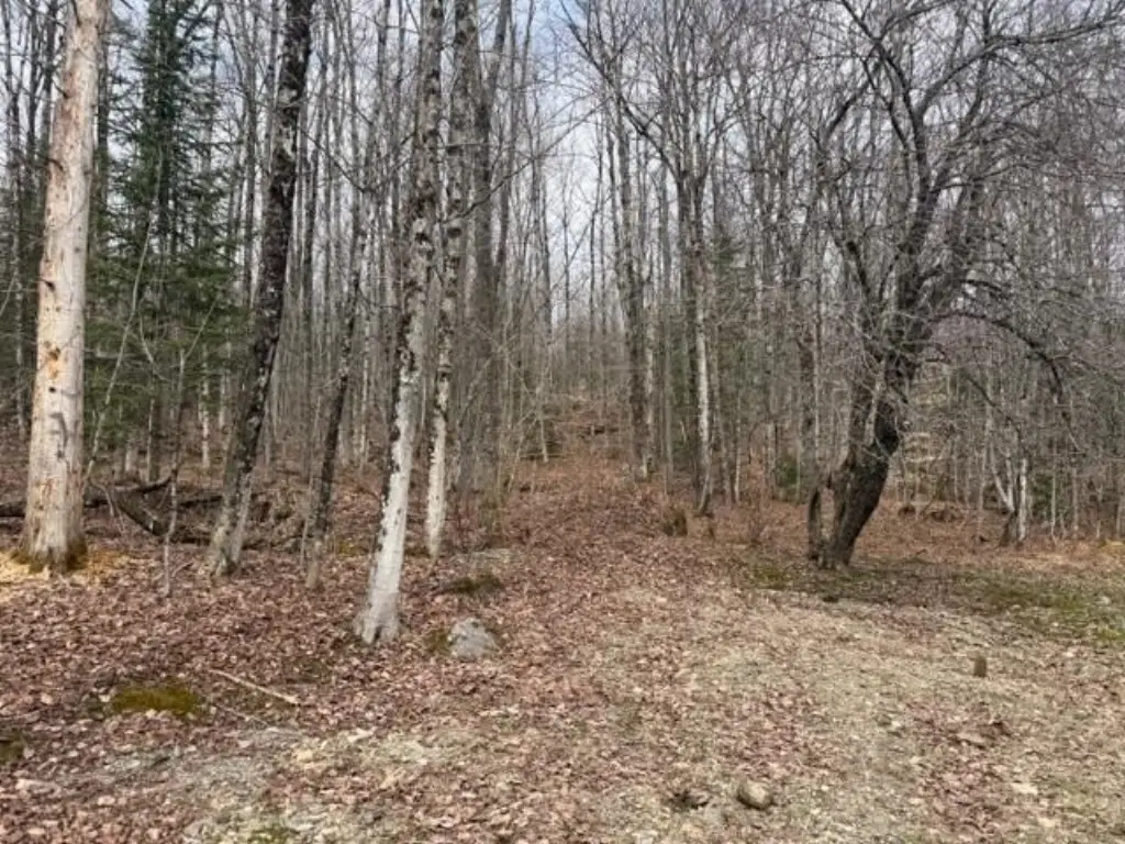 Picture 21