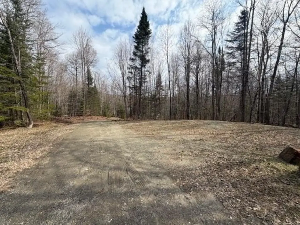 Picture 19