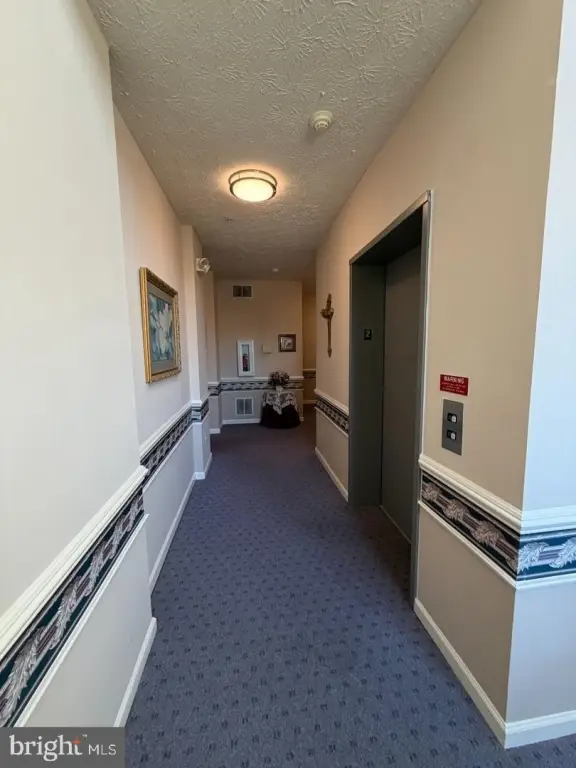 Picture 22