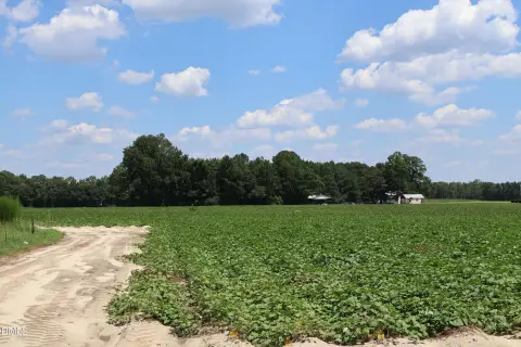 Farm with Warehouse and Three Homes