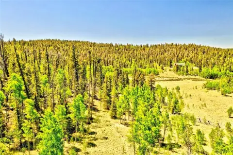 Land Near Pike National Forest
