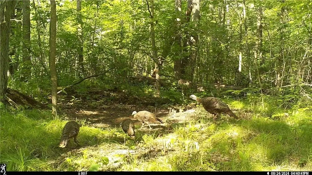 Picture 3