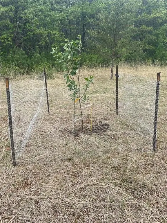Picture 16