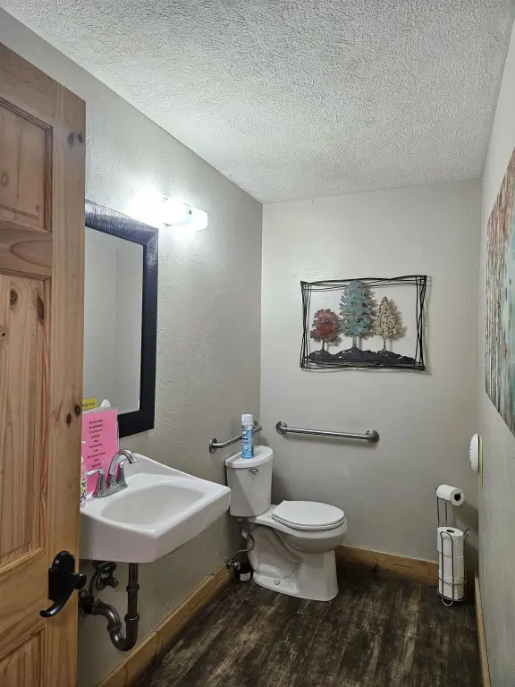 Picture 16