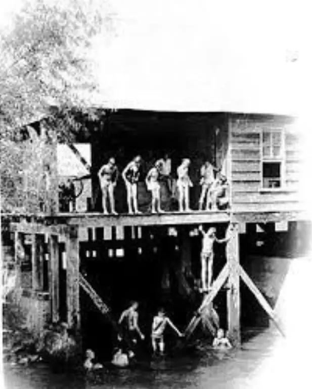 Picture 4