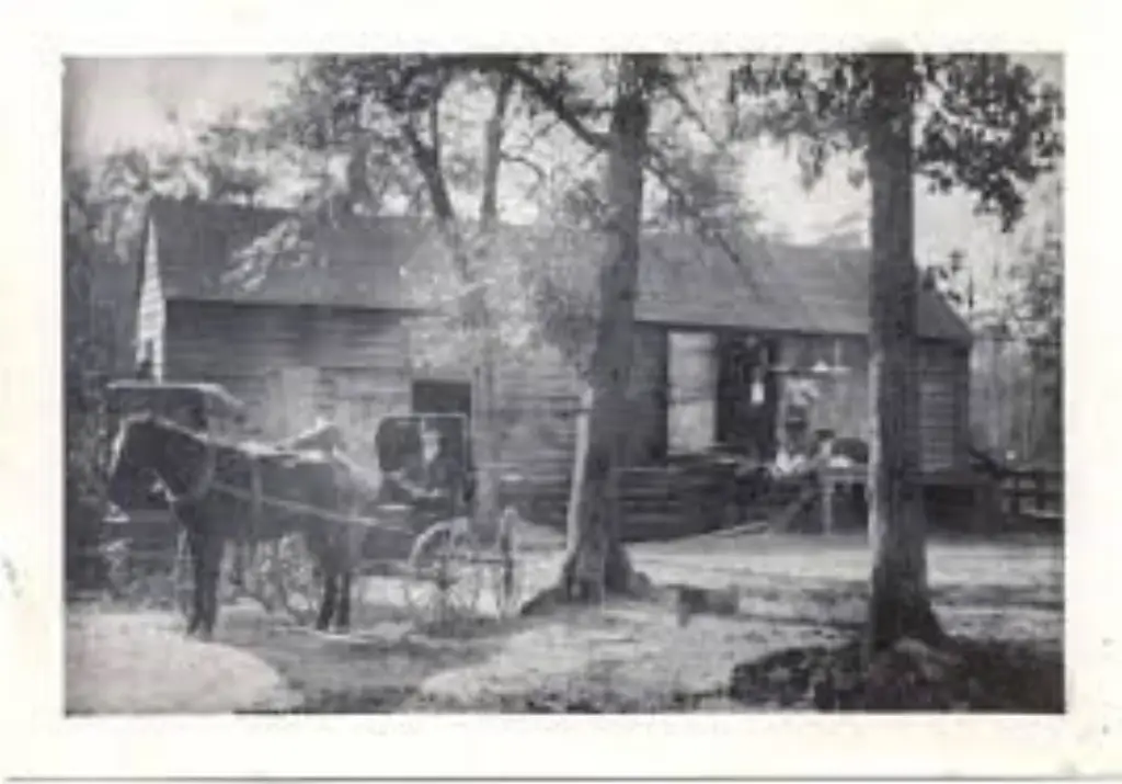 Picture 22