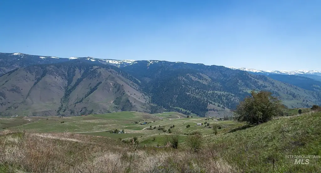 Picture 13