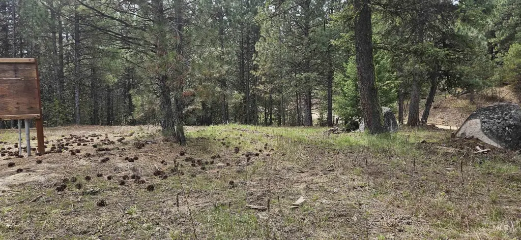 Picture 10